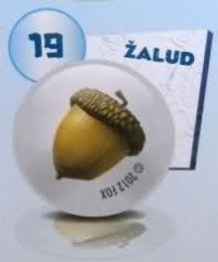 Žalud